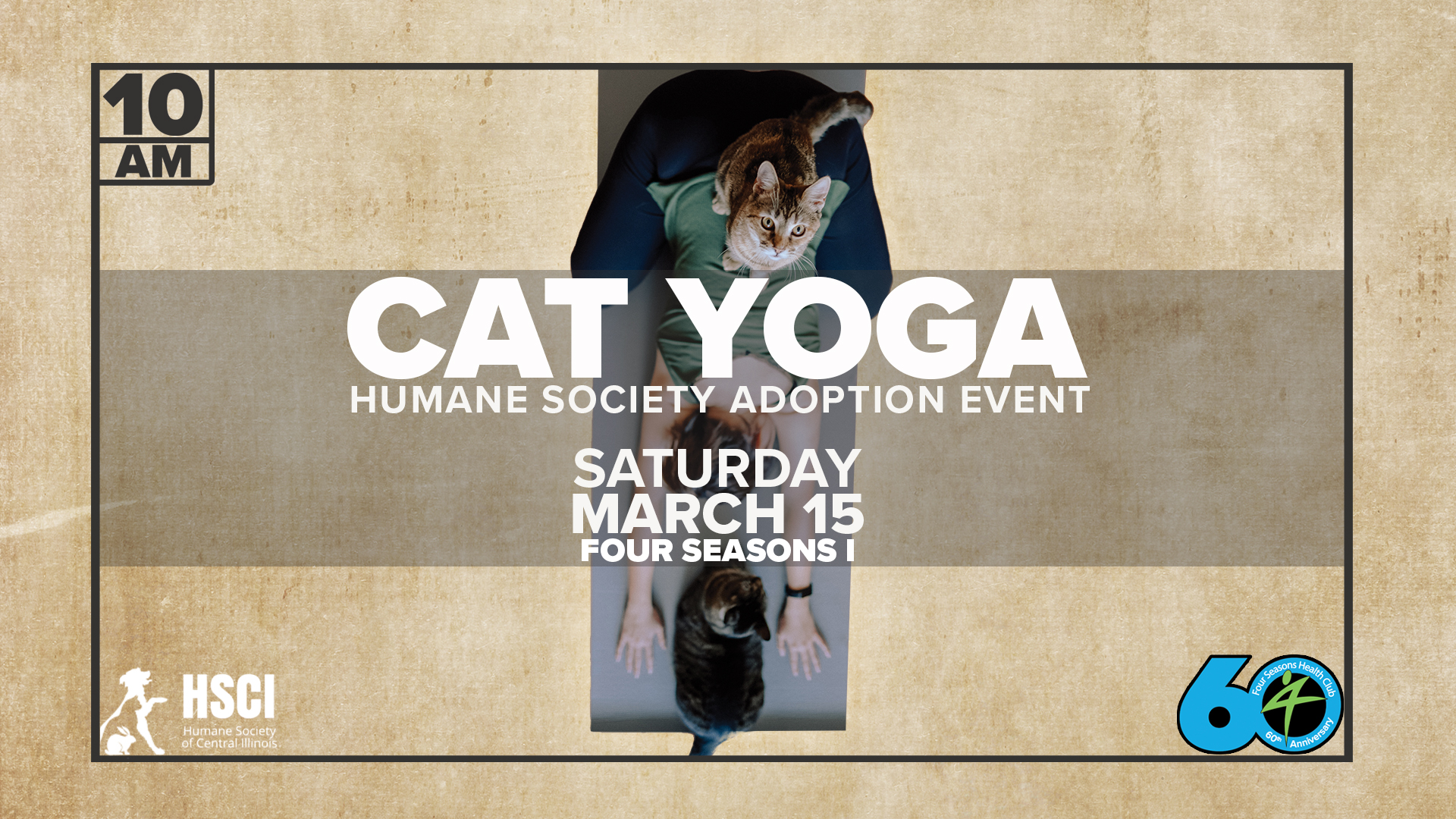 Cat Yoga 1920x1080